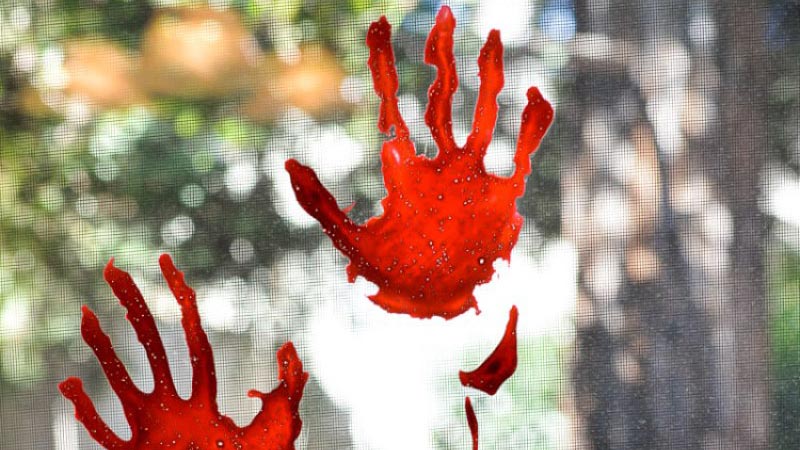 Halloween windows bloody hands
