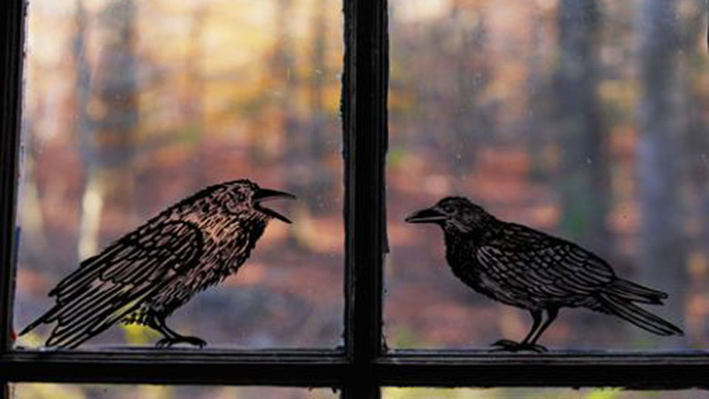 Halloween windows crows