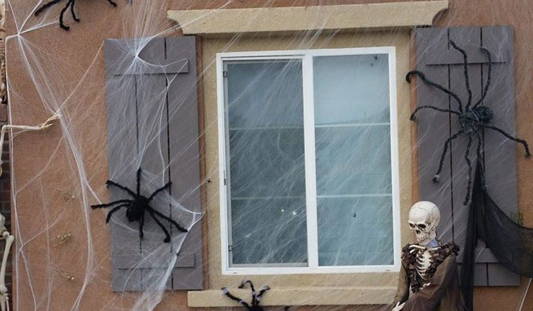 Halloween windows spiders